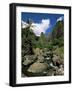 Iao Needle, Iao Valley, Island of Maui, Hawaii, Hawaiian Islands, USA-null-Framed Photographic Print