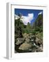 Iao Needle, Iao Valley, Island of Maui, Hawaii, Hawaiian Islands, USA-null-Framed Photographic Print