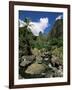 Iao Needle, Iao Valley, Island of Maui, Hawaii, Hawaiian Islands, USA-null-Framed Photographic Print