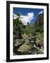 Iao Needle, Iao Valley, Island of Maui, Hawaii, Hawaiian Islands, USA-null-Framed Photographic Print