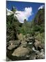 Iao Needle, Iao Valley, Island of Maui, Hawaii, Hawaiian Islands, USA-null-Mounted Photographic Print