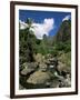 Iao Needle, Iao Valley, Island of Maui, Hawaii, Hawaiian Islands, USA-null-Framed Photographic Print