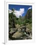 Iao Needle, Iao Valley, Island of Maui, Hawaii, Hawaiian Islands, USA-null-Framed Photographic Print