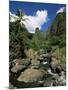 Iao Needle, Iao Valley, Island of Maui, Hawaii, Hawaiian Islands, USA-null-Mounted Photographic Print