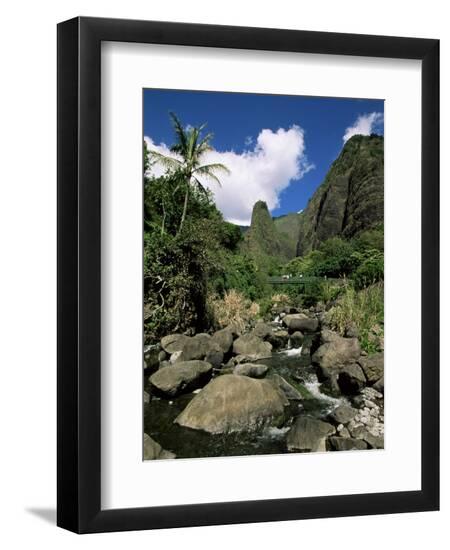 Premium Photographic Print, , large