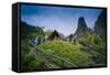 Iao Needle, Iao Valley State Monument, Maui, Hawaii, USA-Roddy Scheer-Framed Stretched Canvas