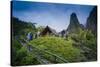 Iao Needle, Iao Valley State Monument, Maui, Hawaii, USA-Roddy Scheer-Stretched Canvas