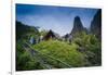 Iao Needle, Iao Valley State Monument, Maui, Hawaii, USA-Roddy Scheer-Framed Photographic Print