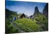 Iao Needle, Iao Valley State Monument, Maui, Hawaii, USA-Roddy Scheer-Stretched Canvas
