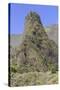 Iao Needle-Rolf Richardson-Stretched Canvas