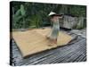 Iban Tribeswoman Raking Through Drying Rice Crop on Sacking Laid on Bamboo Longhouse Verandah-Annie Owen-Stretched Canvas