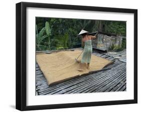 Iban Tribeswoman Raking Through Drying Rice Crop on Sacking Laid on Bamboo Longhouse Verandah-Annie Owen-Framed Photographic Print