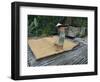 Iban Tribeswoman Raking Through Drying Rice Crop on Sacking Laid on Bamboo Longhouse Verandah-Annie Owen-Framed Photographic Print