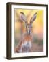 Iberian hare portrait, Castile La Mancha, Spain-Juan Carlos Munoz-Framed Photographic Print