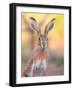 Iberian hare portrait, Castile La Mancha, Spain-Juan Carlos Munoz-Framed Photographic Print