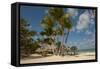 Iberostar Grand, Bavaro Beach, Higuey, Punta Cana, Dominican Republic-Lisa S^ Engelbrecht-Framed Stretched Canvas