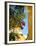 Iberostar Resort, Mayan Riviera, Mexico-Lisa S. Engelbrecht-Framed Premium Photographic Print