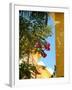 Iberostar Resort, Mayan Riviera, Mexico-Lisa S. Engelbrecht-Framed Premium Photographic Print