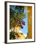 Iberostar Resort, Mayan Riviera, Mexico-Lisa S. Engelbrecht-Framed Premium Photographic Print
