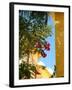 Iberostar Resort, Mayan Riviera, Mexico-Lisa S. Engelbrecht-Framed Premium Photographic Print