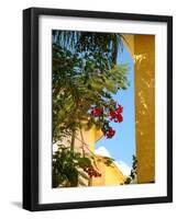 Iberostar Resort, Mayan Riviera, Mexico-Lisa S. Engelbrecht-Framed Photographic Print