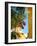 Iberostar Resort, Mayan Riviera, Mexico-Lisa S. Engelbrecht-Framed Photographic Print