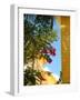 Iberostar Resort, Mayan Riviera, Mexico-Lisa S. Engelbrecht-Framed Photographic Print