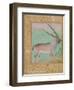 Ibex, Mughal-null-Framed Premium Giclee Print