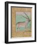 Ibex, Mughal-null-Framed Giclee Print