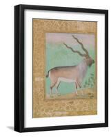 Ibex, Mughal-null-Framed Giclee Print