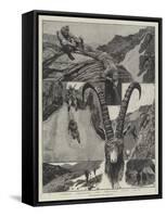 Ibex-Shooting in the Himalayas-Richard Caton Woodville II-Framed Stretched Canvas