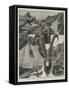 Ibex-Shooting in the Himalayas-Richard Caton Woodville II-Framed Stretched Canvas