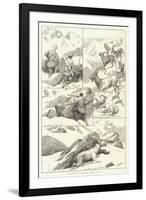 Ibex-Shooting in the Shigar Nullahs, Baltistan, Himalayas-null-Framed Giclee Print
