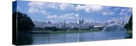 Ibirapuera Park Sao Paulo Brazil-null-Stretched Canvas