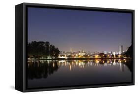 Ibirapuera Park with a Reflection of the Sao Paulo Skyline at Night-Alex Saberi-Framed Stretched Canvas