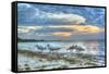 Ibis at Sunrise-Robert Goldwitz-Framed Stretched Canvas