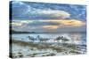 Ibis at Sunrise-Robert Goldwitz-Stretched Canvas