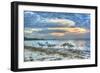 Ibis at Sunrise-Robert Goldwitz-Framed Photographic Print