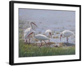 Ibis Excursion-Bruce Dumas-Framed Giclee Print