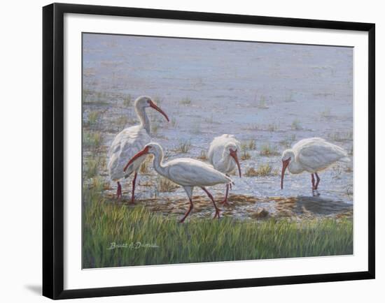 Ibis Excursion-Bruce Dumas-Framed Giclee Print