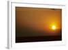 Ibis Flying to Roost at Sunset-null-Framed Photographic Print