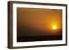 Ibis Flying to Roost at Sunset-null-Framed Photographic Print