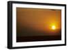 Ibis Flying to Roost at Sunset-null-Framed Photographic Print