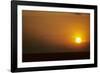 Ibis Flying to Roost at Sunset-null-Framed Photographic Print