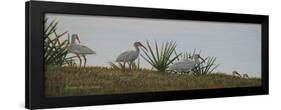 Ibis Outing-Bruce Dumas-Framed Giclee Print