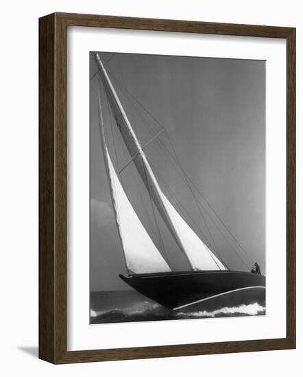 Ibis Yacht Cruising, 1936-Edwin Levick-Framed Art Print