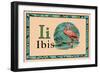 Ibis-null-Framed Art Print