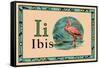 Ibis-null-Framed Stretched Canvas