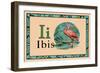 Ibis-null-Framed Premium Giclee Print