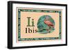Ibis-null-Framed Premium Giclee Print